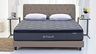 Tulip Mattress